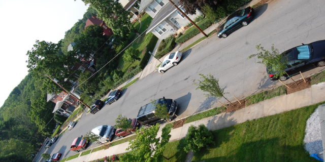 Trees on Reynolds