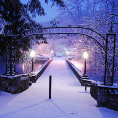 Winter Wonderland