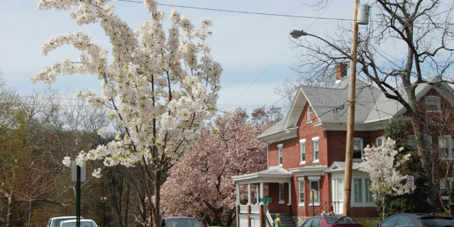 Spring Time