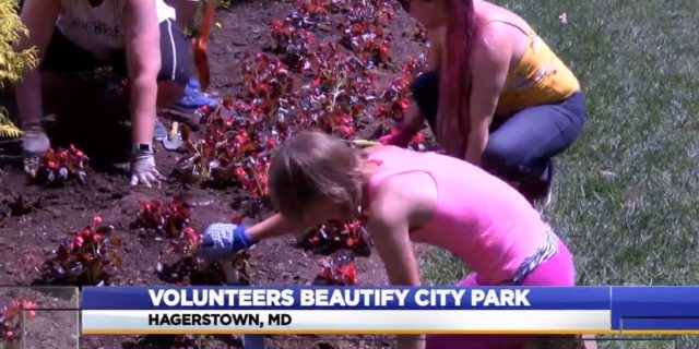Flower Planting on WDVM