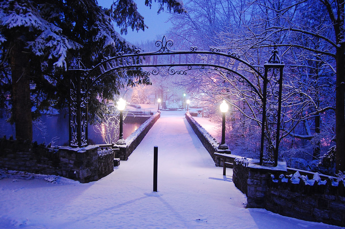 Winter Wonderland