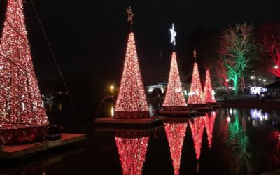 Drive Thru-Holiday Display and Up Lighting